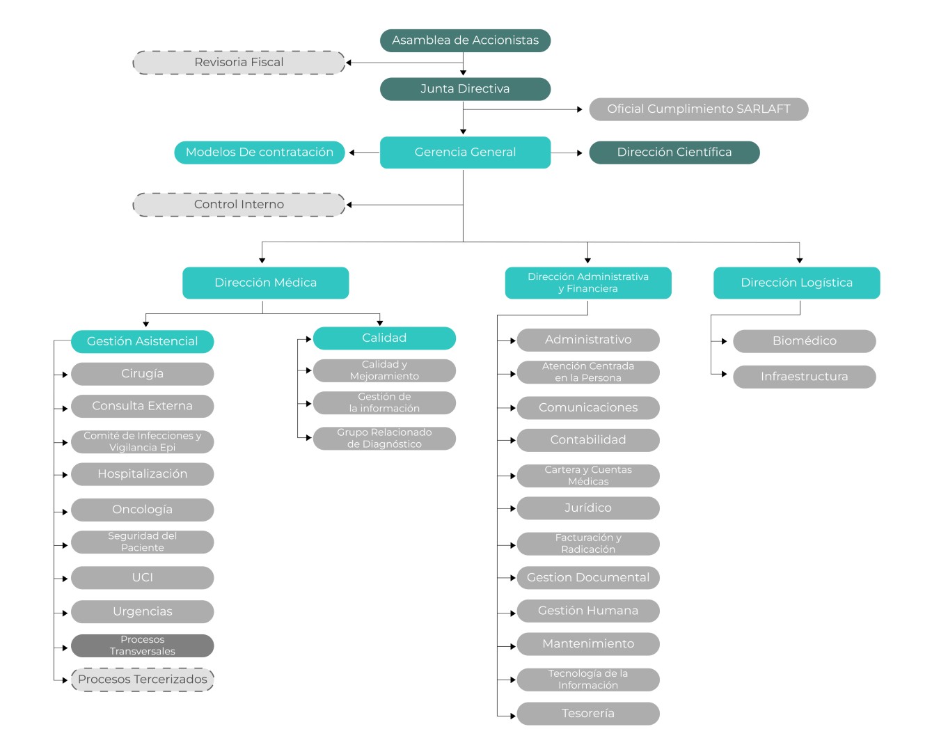 Estructura organizacional
